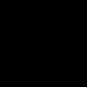 Meet your Posher, Mica